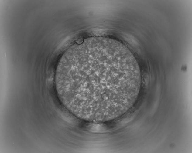 X0000090410507200707272052