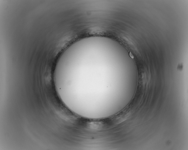 X0000090410508200707272052