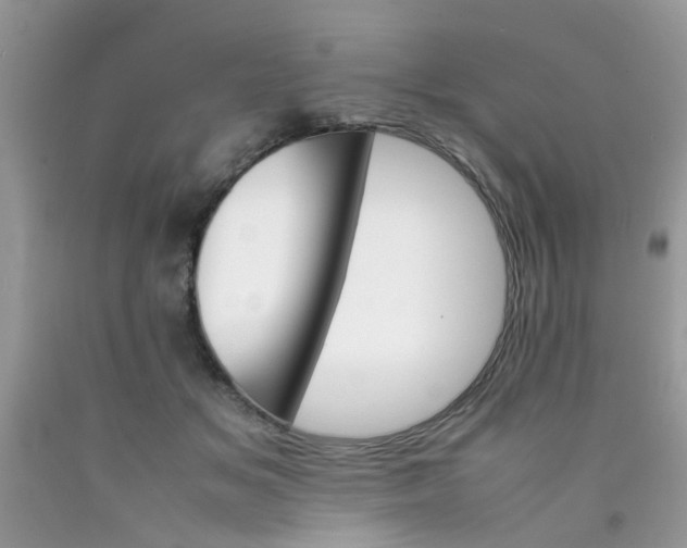 X0000090410509200707272052