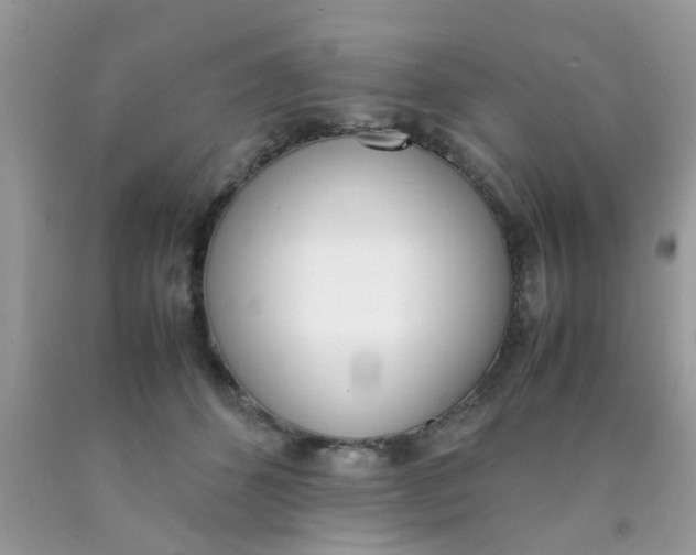 X0000090410512200707272052