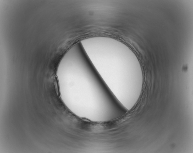 X0000090410513200707272052