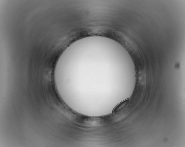 X0000090410514200707272052