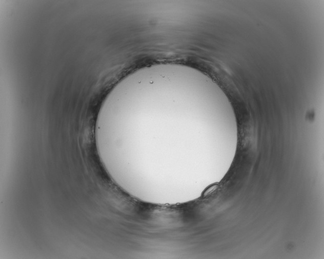 X0000090410515200707272052