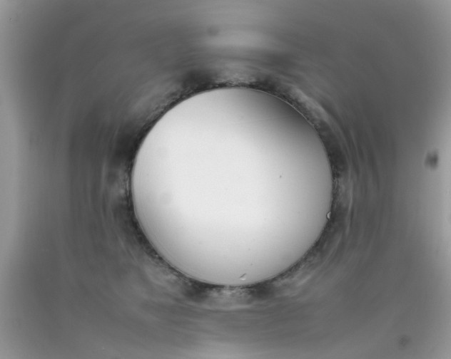 X0000090410517200707272052