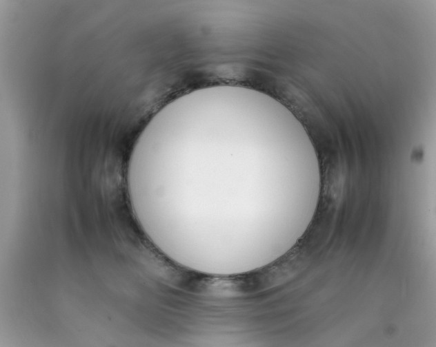 X0000090410518200707272052