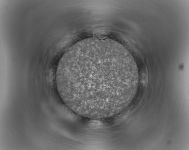 X0000090410519200707272052