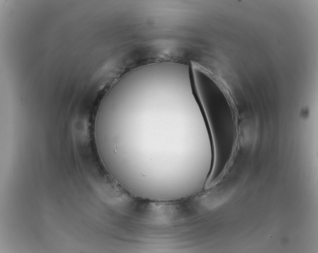X0000090410520200707272052