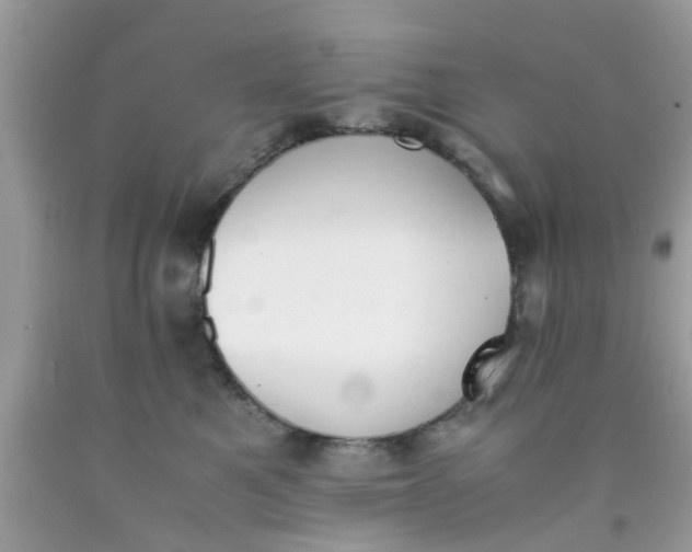 X0000090410521200707272052