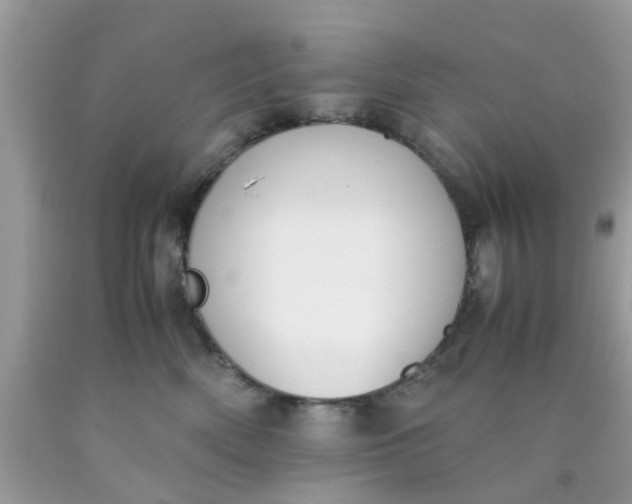 X0000090410522200707272052