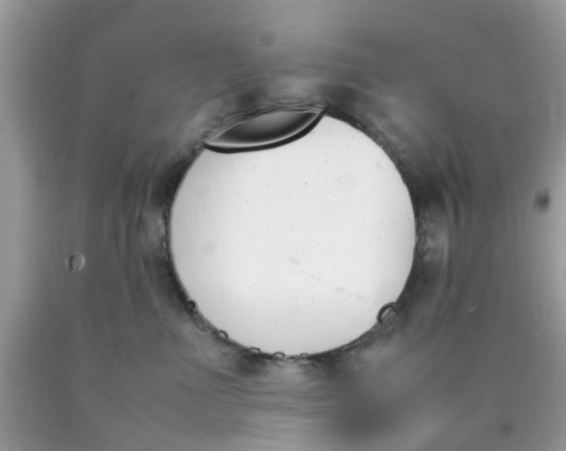 X0000090410523200707272052