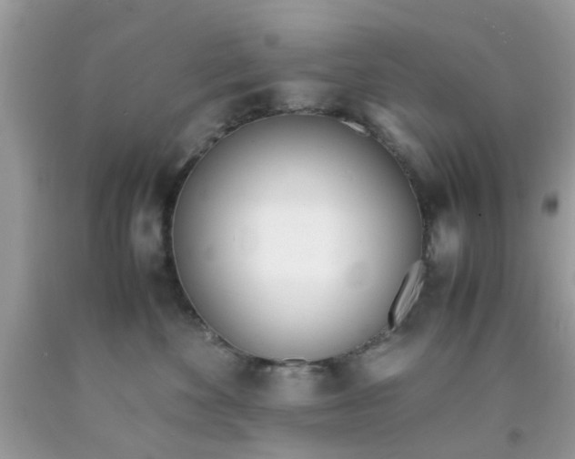 X0000090410524200707272052