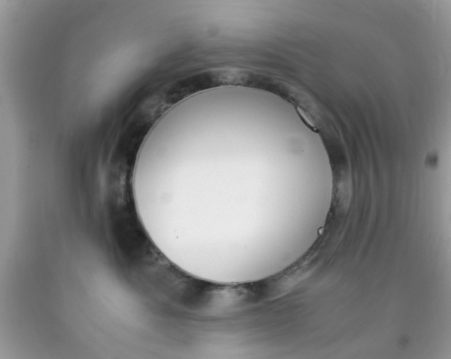 X0000090410525200707272052