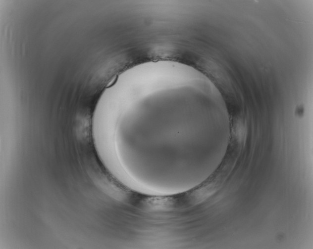 X0000090410526200707272052