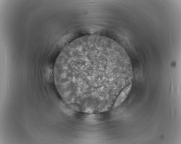 X0000090410527200707272052