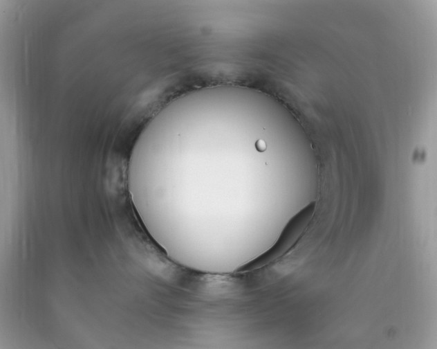 X0000090410528200707272052