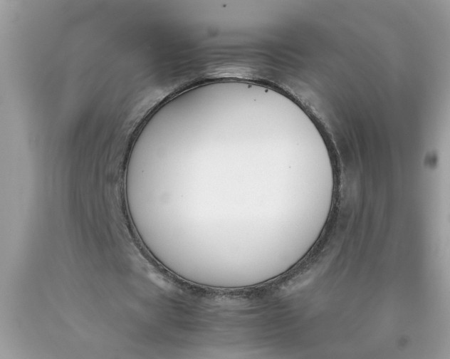 X0000090410529200707272051