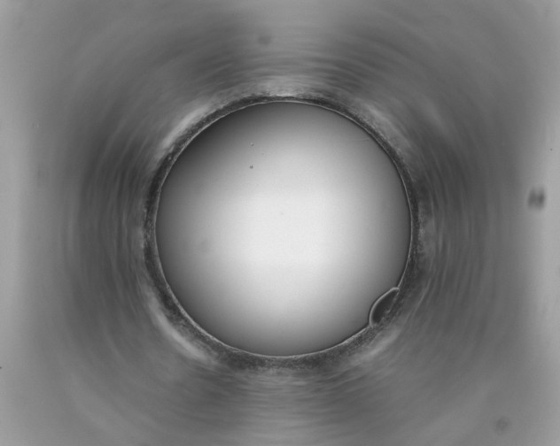 X0000090410530200707272051