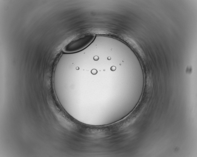 X0000090410533200707272051