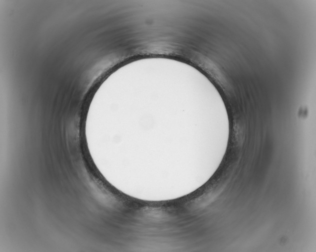 X0000090410534200707272051