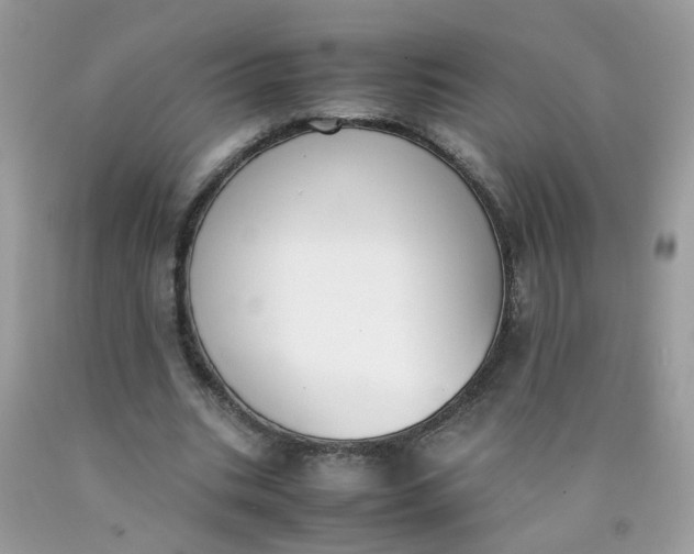 X0000090410535200707272051