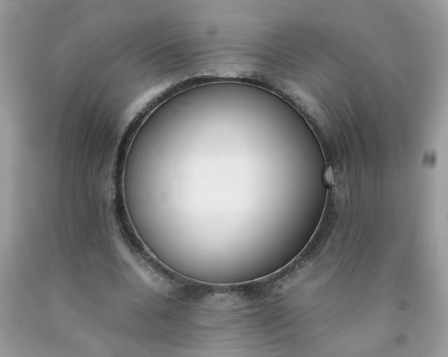 X0000090410536200707272051