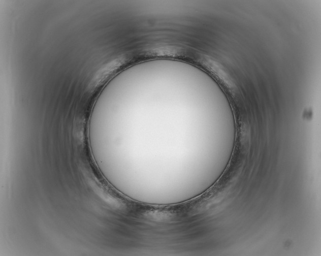 X0000090410537200707272051