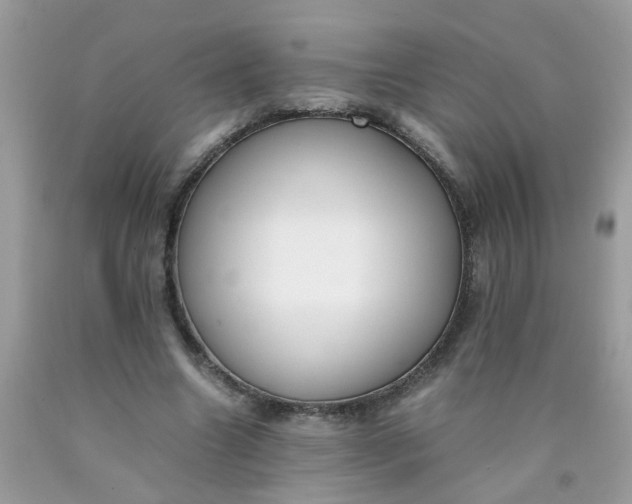X0000090410538200707272051