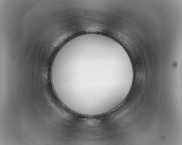 X0000090410539200707272051