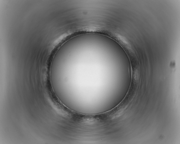 X0000090410540200707272051