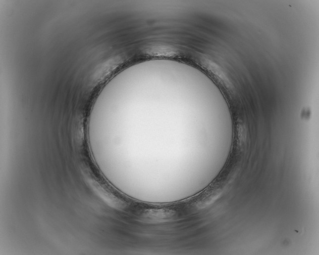 X0000090410541200707272051