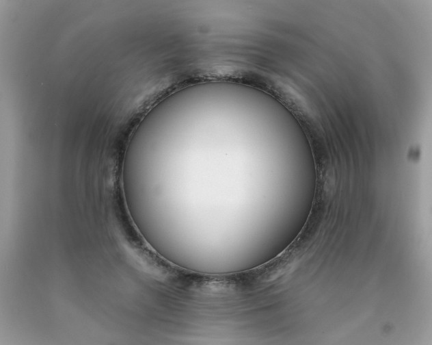 X0000090410546200707272051