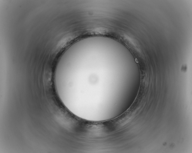 X0000090410548200707272051