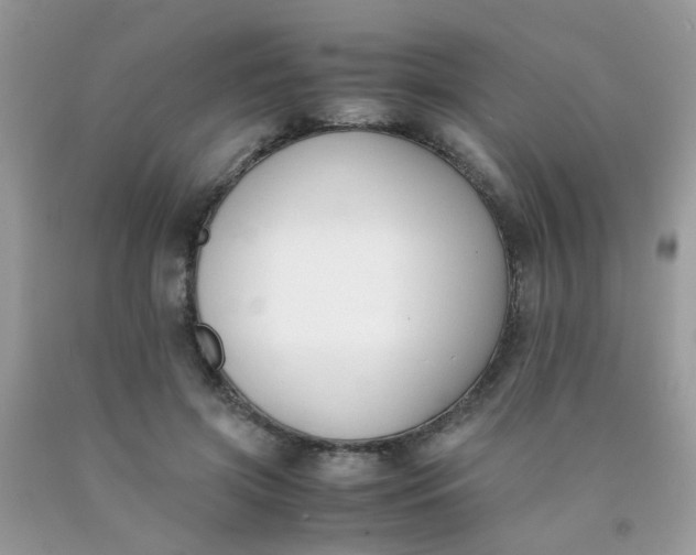 X0000090410549200707272051