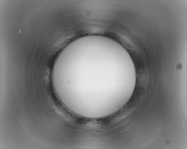 X0000090410550200707272051