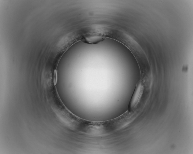 X0000090410552200707272051