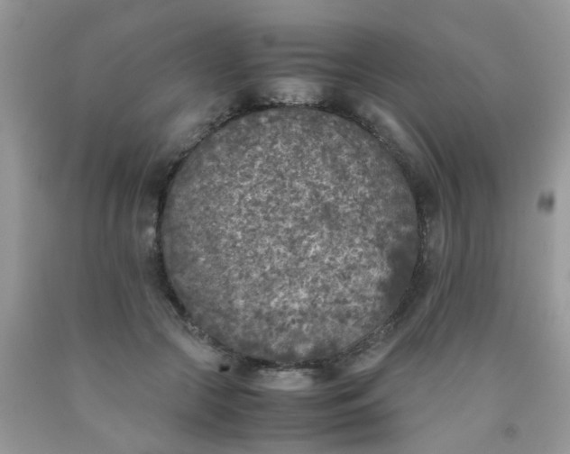 X0000090410553200707272051