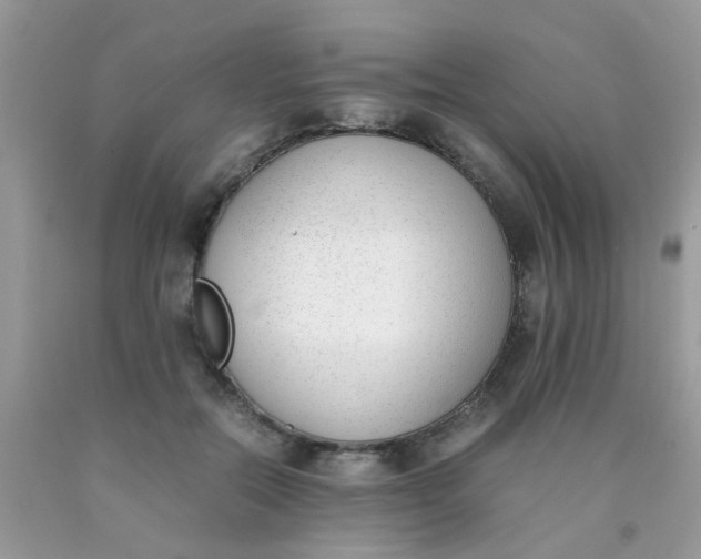 X0000090410554200707272051