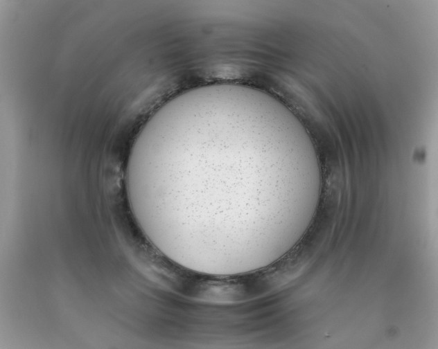 X0000090410555200707272051