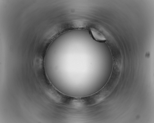 X0000090410556200707272051