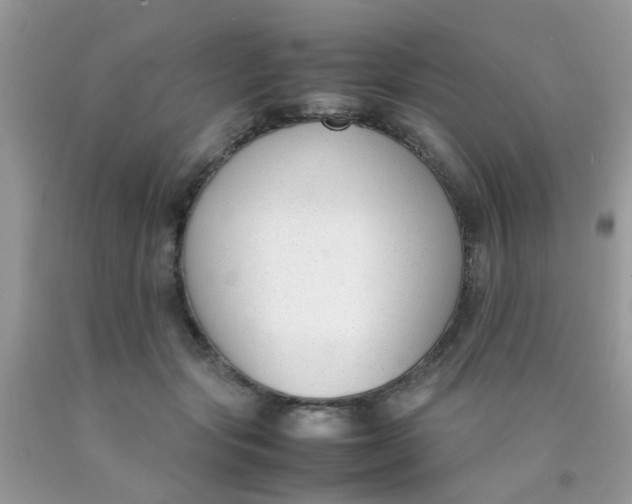 X0000090410557200707272051