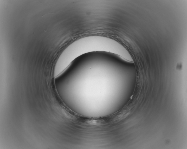X0000090410558200707272051