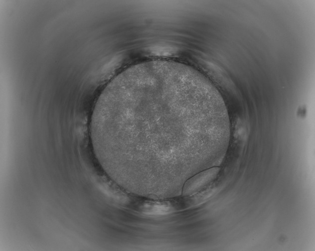 X0000090410559200707272051