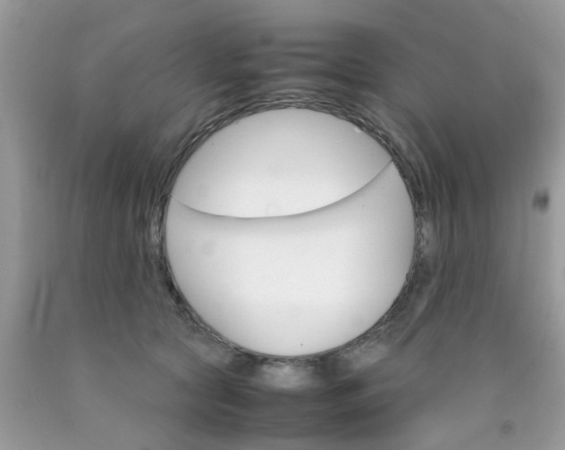 X0000090410561200707272051