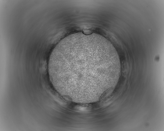 X0000090410563200707272051