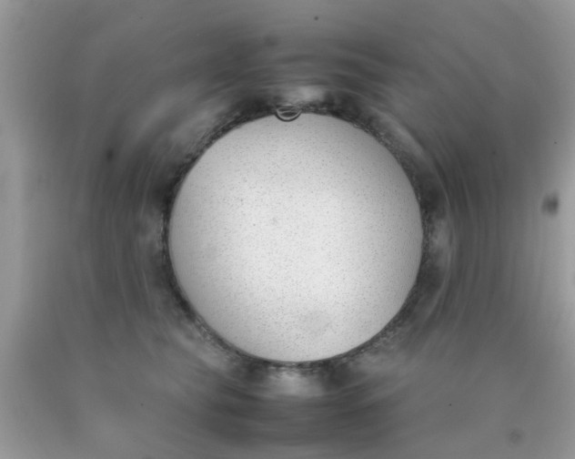 X0000090410565200707272051