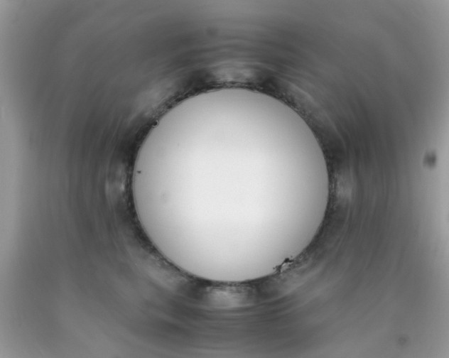 X0000090410567200707272051