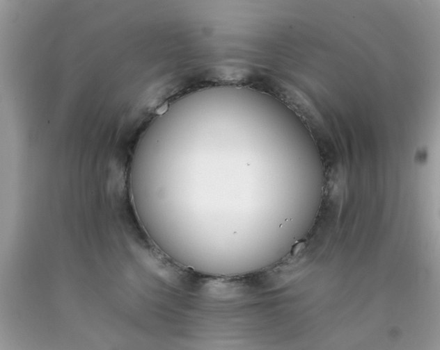 X0000090410568200707272052