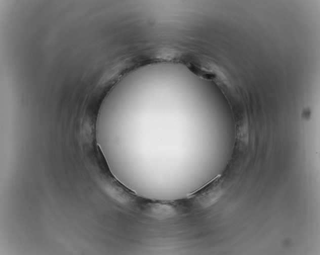 X0000090410572200707272052