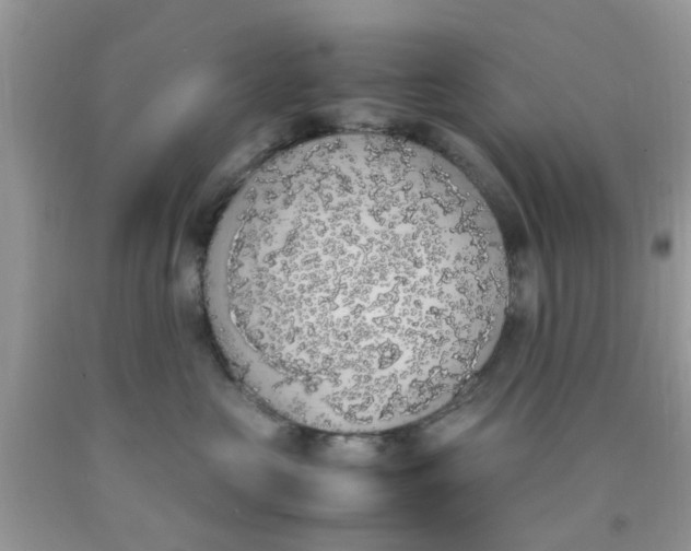 X0000090410573200707272052