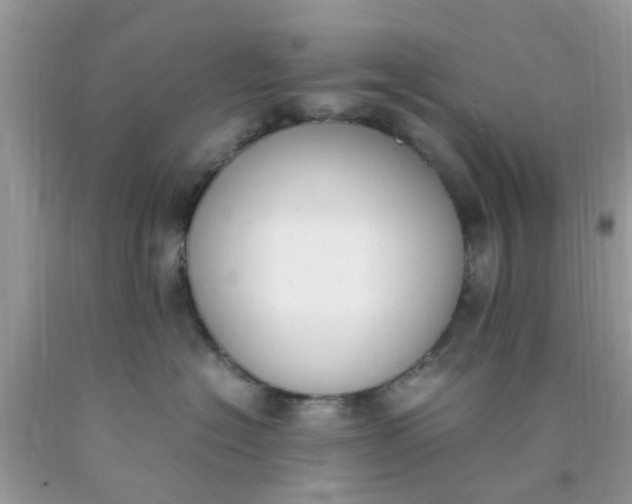 X0000090410574200707272052